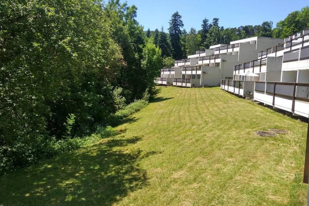 Studio Au Coeur Des Volcans D Auvergne - Murol Dış mekan fotoğraf