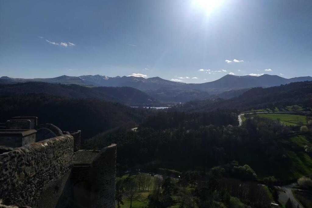 Studio Au Coeur Des Volcans D Auvergne - Murol Dış mekan fotoğraf