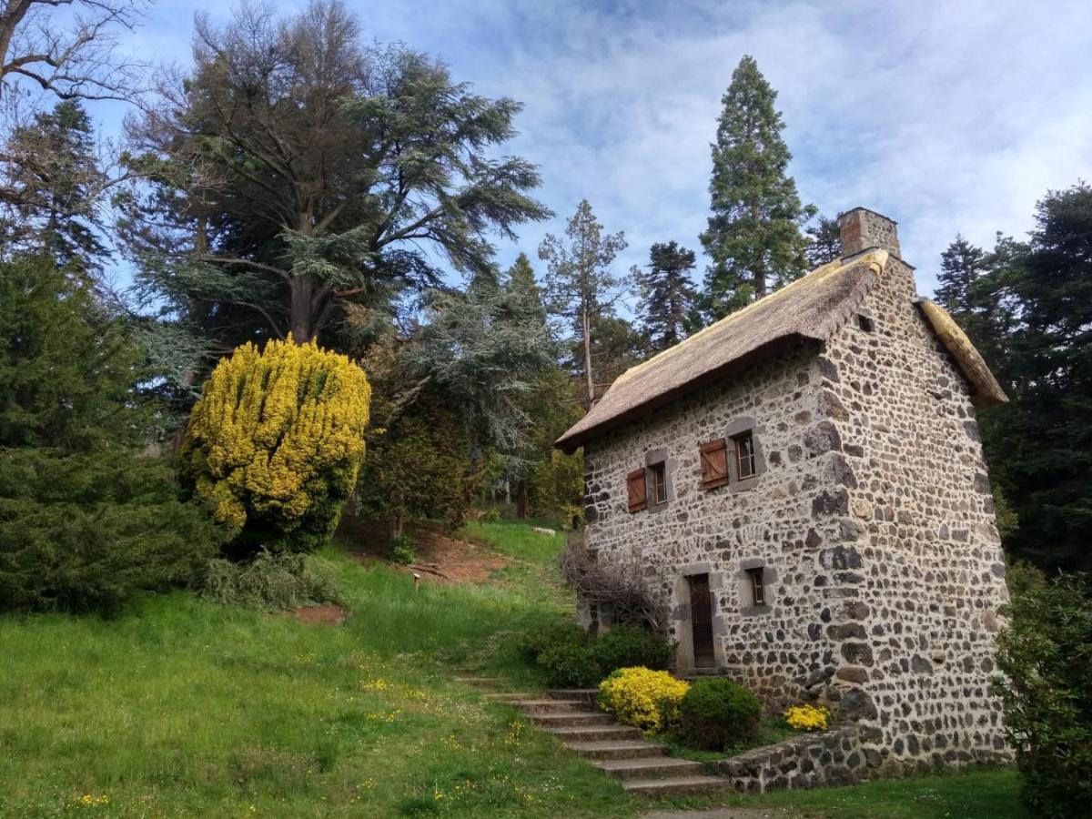 Studio Au Coeur Des Volcans D Auvergne - Murol Dış mekan fotoğraf